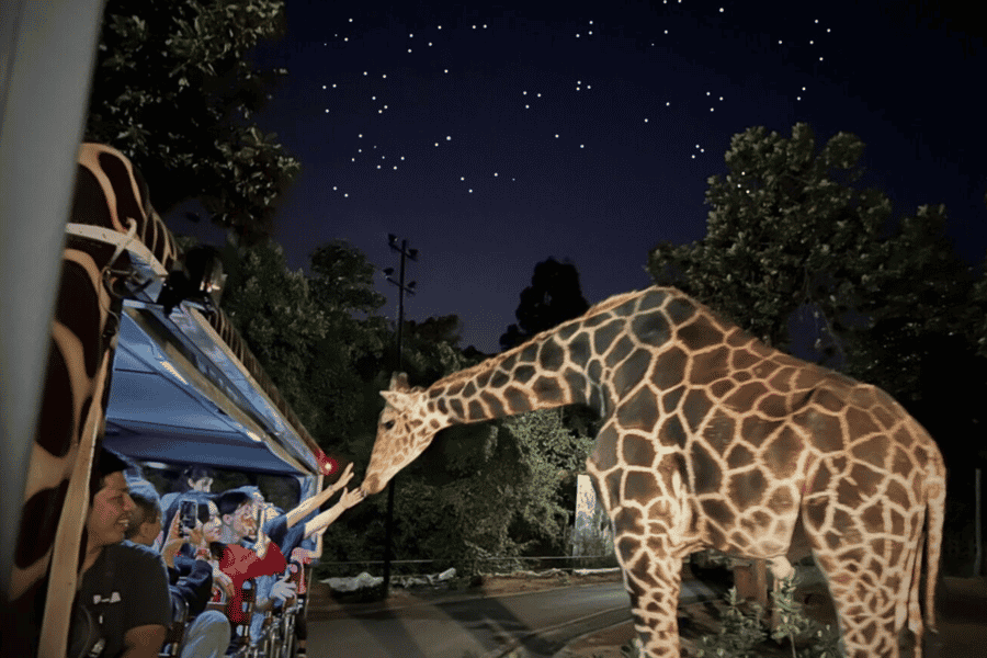 Chiang Mai Night Safari: Flexible Abholung, Ticket & Transfers. Foto: GetYourGuide