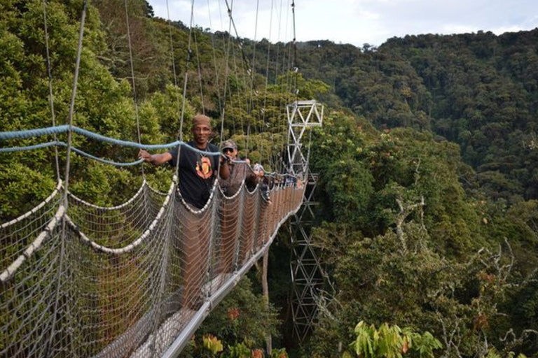 From Kigali: 2-Day Nyungwe Chimpanzee Trek, Canopy & Zipline