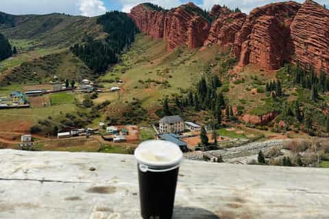 The best Issyk Kul Region Hiking - 2026 (Verified Reviews)