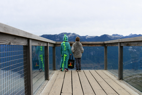 Limited Small Group Tour: Shannon Falls & Sea to Sky Gondola