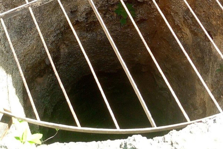 Mombasa: Gede Ruins and Arabuko Sokoke Forest Tour