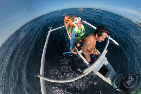 Bohol: Turtle Sanctuary Snorkeling Boat Tour with Lunch