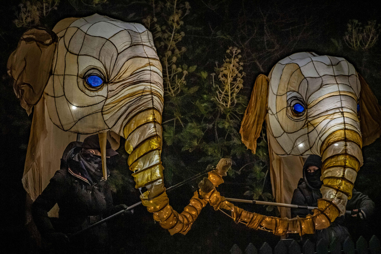 Chester Zoo: Lanterns and Light Entry