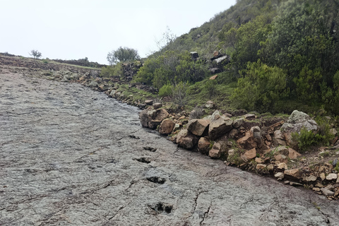 1-day Inca Trail, Maragua Crater, and Dinosaur Footprints Excursion 1-day maragua and dinosaur footprints tours