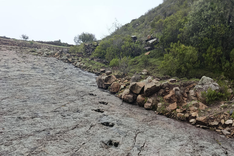 1-day Inca Trail, Maragua Crater, and Dinosaur Footprints Excursion 1-day maragua and dinosaur footprints tours