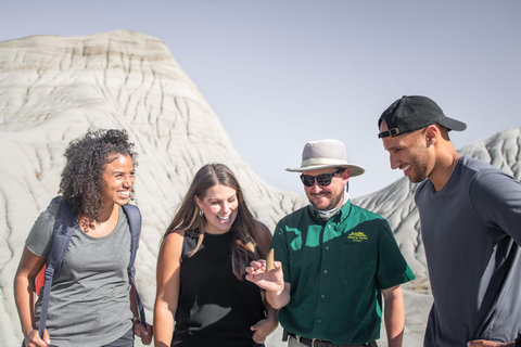 Banff : Visite privée des Badlands avec le musée Royal Tyrrell