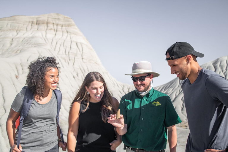 Banff : Visite privée des Badlands avec le musée Royal Tyrrell