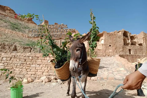 A partir de Djerba/Zarzis: Tesouros do Sul da Tunísia 3 diasDe Djerba/Zarzis: Tesouros do Sul da Tunísia, 3 dias