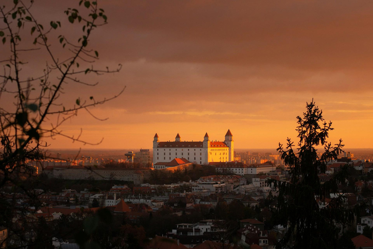 De Viena: Viagem de 1 dia a Bratislava com almoço tradicionalDe Viena: Viagem de 1 dia a Bratislava com almoço e bebida