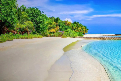 Colombo to Galle: Coastal Culture & Cinnamon Experience