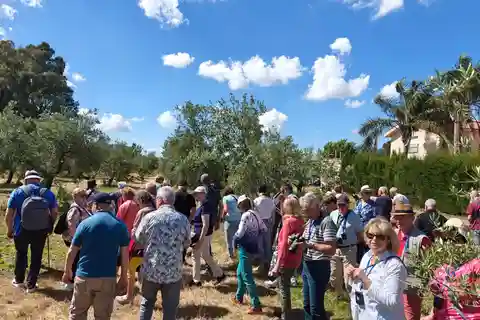 Cata de Aove ecológico y visita guiada a un olivar ecológico familiar