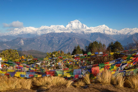 Pokhara: Senderismo de 3 días por Ghorepani y Poon Hill