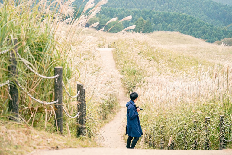 Osaka: Nara’s Hidden-gem Temples, Art Forest Day Tour