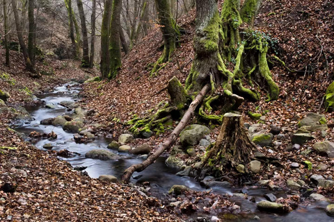 From Budapest: Danube Bend Forest Tour Visegrad & Szentendre Budapest: Danube Bend Forest Tour Visegrad & Szentendre Grps