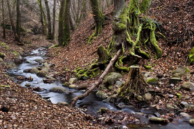 From Budapest: Danube Bend Forest Tour Visegrad & Szentendre Budapest: Danube Bend Forest Tour Visegrad & Szentendre Grps