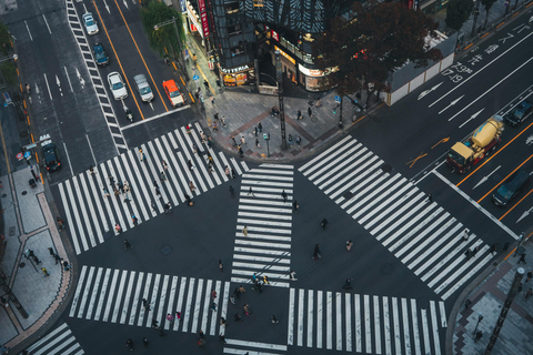 Visite privée de Tokyo en voiture avec chauffeur parlant anglais