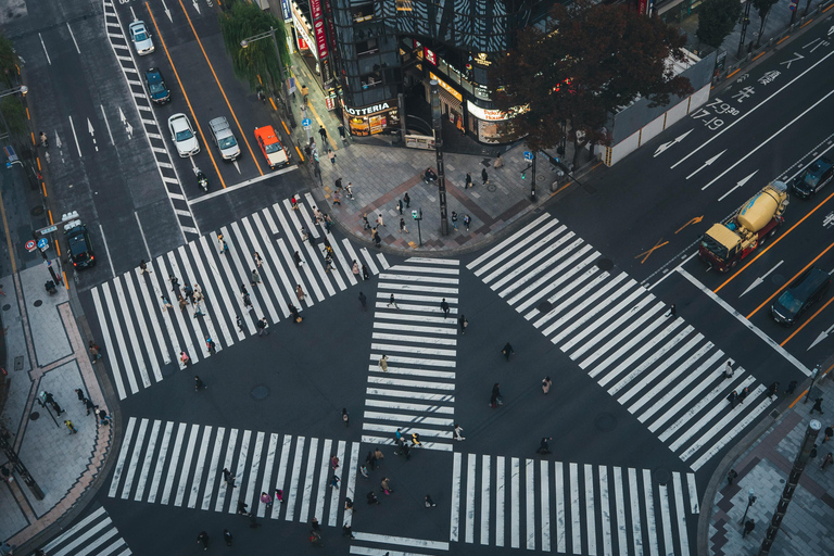 Tokio privétour per auto met Engelssprekende chauffeur