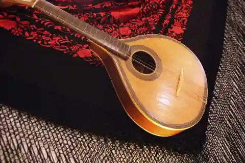 Show de Fado Semi-Privado no Porto com Jantar