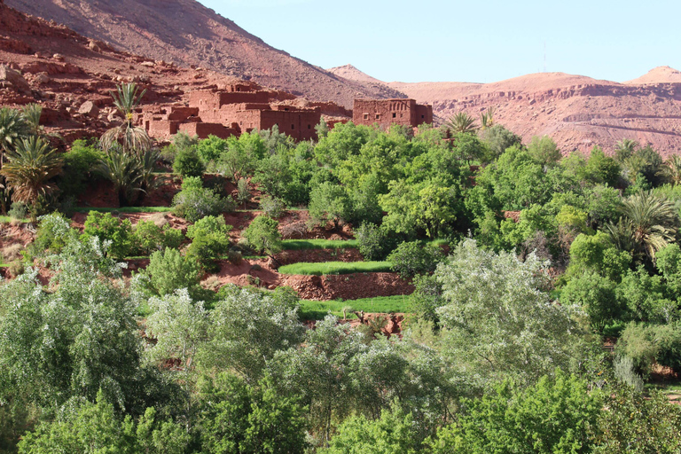 Agadir: Atlas Mountains Cross Berber Villages Tour