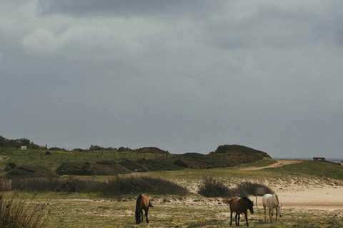Costa Brava: Baix Ter Horseback Riding Tour