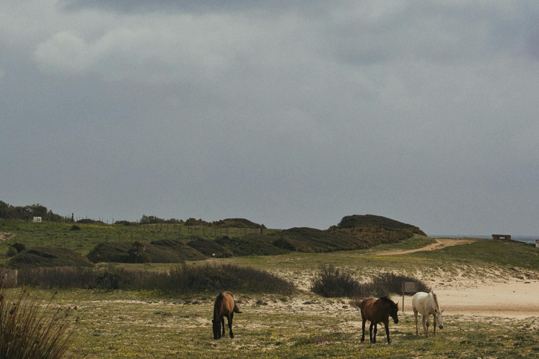 Costa Brava: Baix Ter Horseback Riding Tour