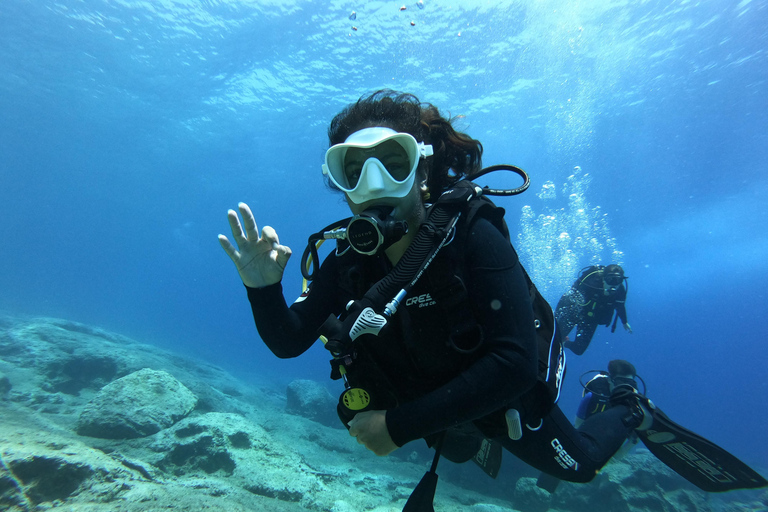Zakynthos: Small-Group Scuba Diving for All Levels Zakynthos: Discover Scuba Diving Experience with Photos