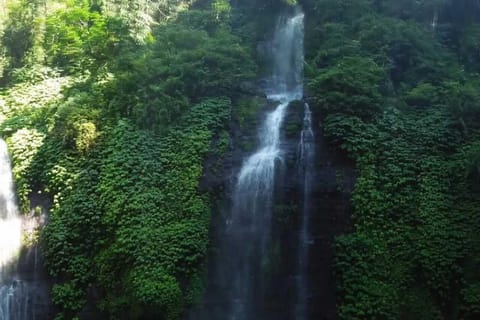 Ubud: North Bali Dolphin Cruise, Waterfall & Hot Springs