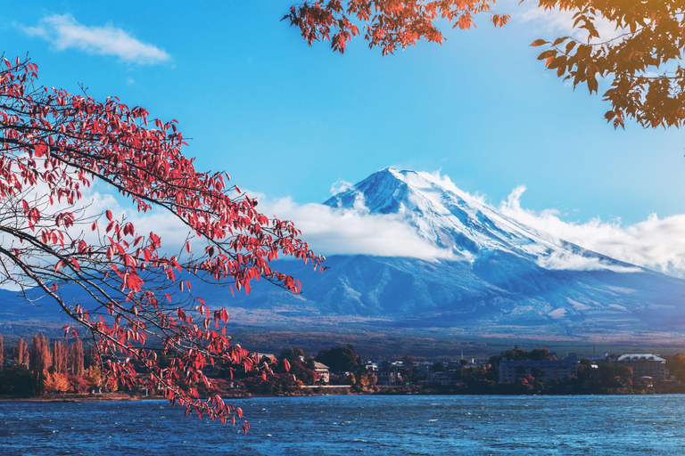 Tokyo: Mt. Fuji & Lake Kawaguchi Small Group Tour - 6 Spots Hotel Pickup Option