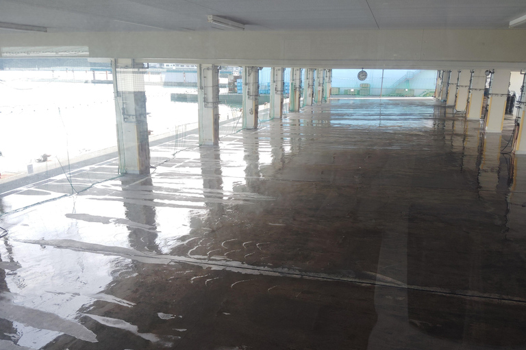 Wakayama: Learn & Taste Japan Tuna Culture in Nachikatsuura