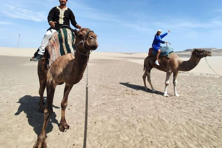 Pérou : Balade à dos de chameau et dégustation de vin