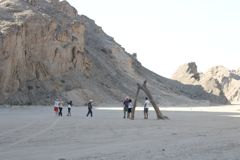 Swakopmund: Namib Desert Sunrise, Seals & Sandwich Harbour