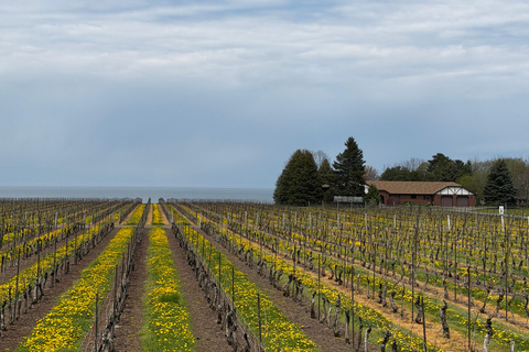 Sip, Snap & Maple Tap: Niagara-on-the-Lake Photo & Wine Tour Tasting at Konzelmann Lakeside Winery