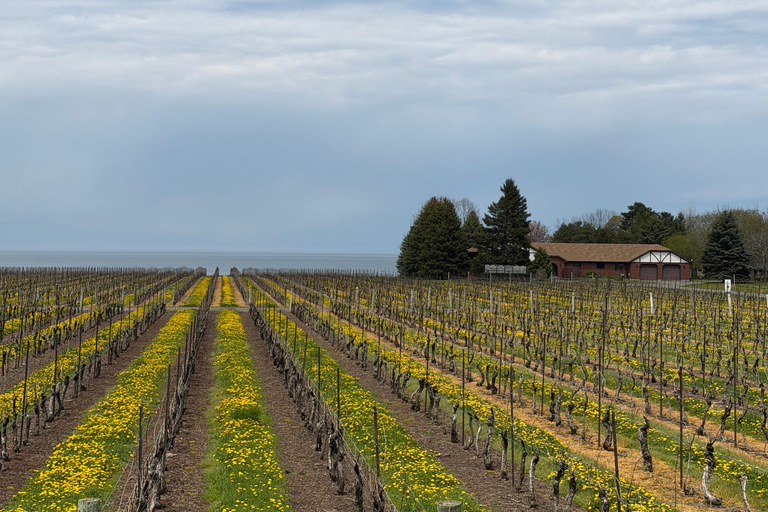 Sip, Snap & Maple Tap: Niagara-on-the-Lake Photo & Wine Tour Tasting at Konzelmann Lakeside Winery