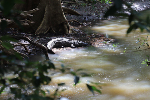 From South Coast: Udawalawe Park Safari with Ella Drop-off
