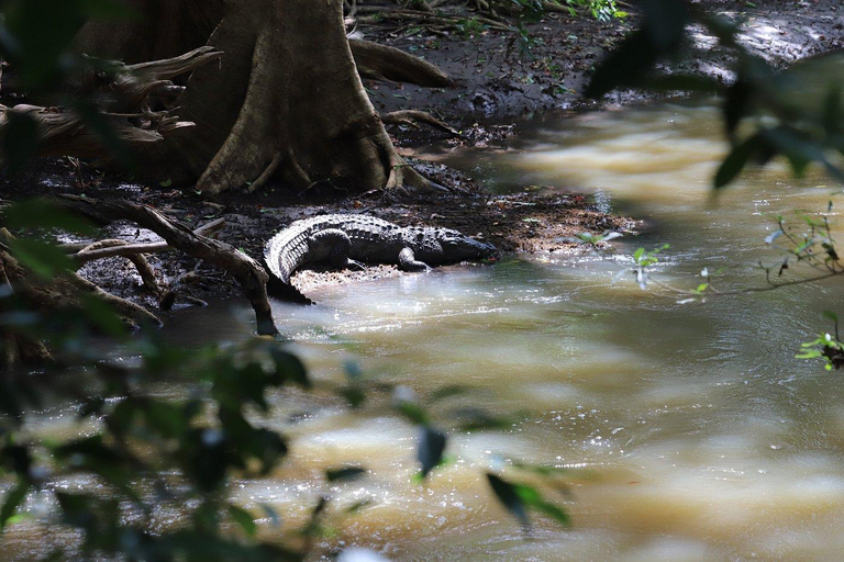 From South Coast: Udawalawe Park Safari with Ella Drop-off
