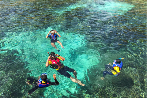 Phuket/Khaolak:Excursión de un día a las Islas Similan con buceo de superficie