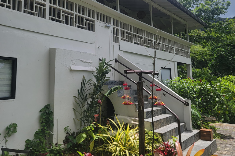 Trinidad: Experiencia en el Santuario de Aves del Centro Natural Asa Wright