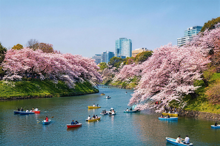 Tokyo: Sky Lunch, Ueno Cherry Blossom & Meguro Night Trip