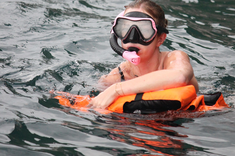 Ko Phi Phi Don: Speedboat Day Trip with Shark Snorkeling