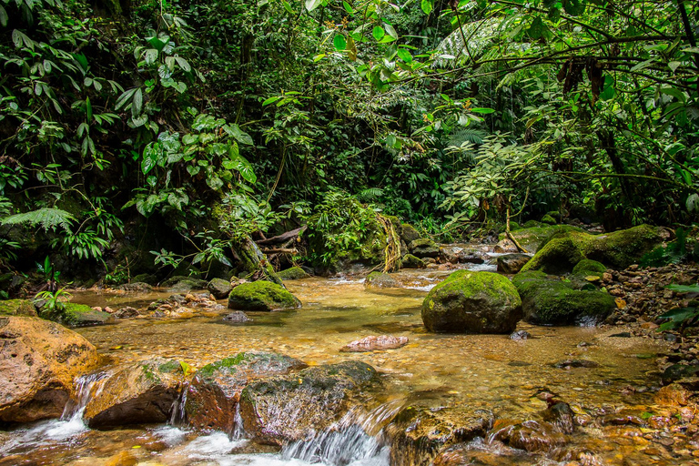 San Pedro Sula: Azul Meámbar National Park Day Trip