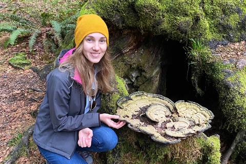 Seattle: Rainforest and Olympic National Park Highlights Olympic National Park: Rainforest, Beach, and highlights