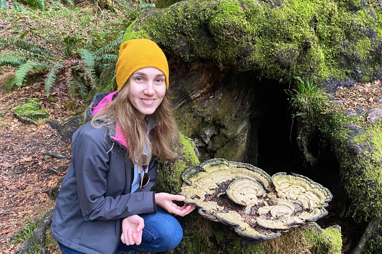 Seattle: Rainforest and Olympic National Park Highlights Olympic National Park: Rainforest, Beach, and highlights