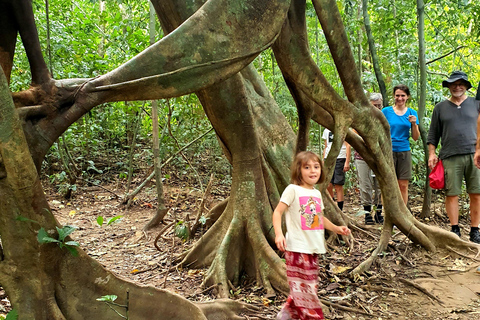 Från Krabi : Khao Sok Lake Tour i dagsutflykt