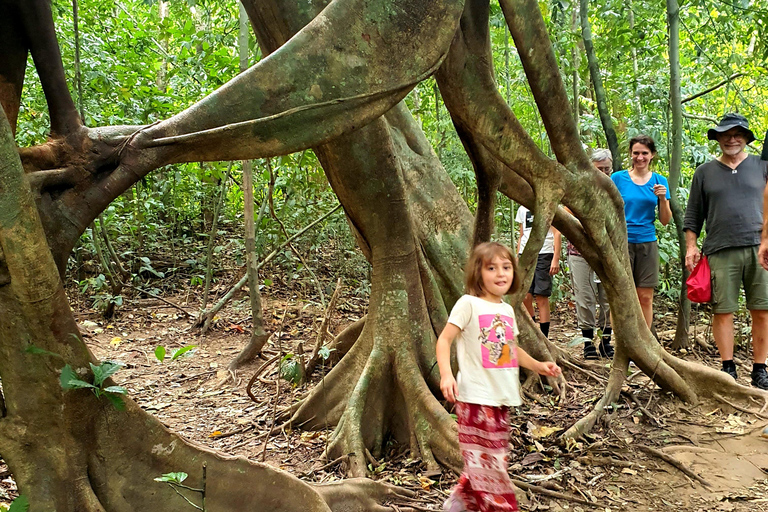 De Krabi : Excursão ao Lago Khao Sok em viagem de 1 dia