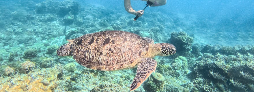 Au départ de Lombok : visite d'une jounée aux îles Gili Gede, Rengit et Layar