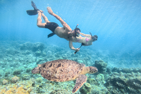 From Lombok: Full-Day Gili Gede, Rengit, & Layar Island Tour Private Tour with Meet at Harbor