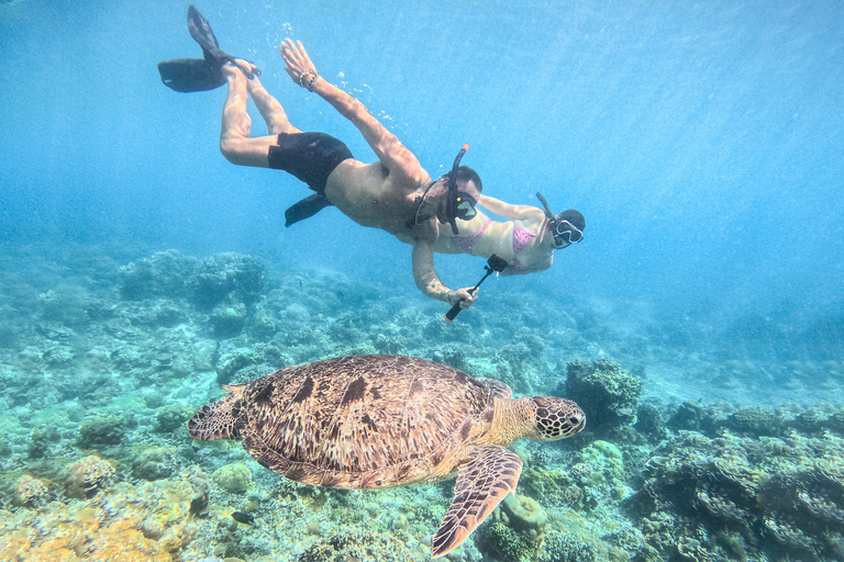 From Lombok: Full-Day Gili Gede, Rengit, & Layar Island Tour Private Tour with Meet at Harbor