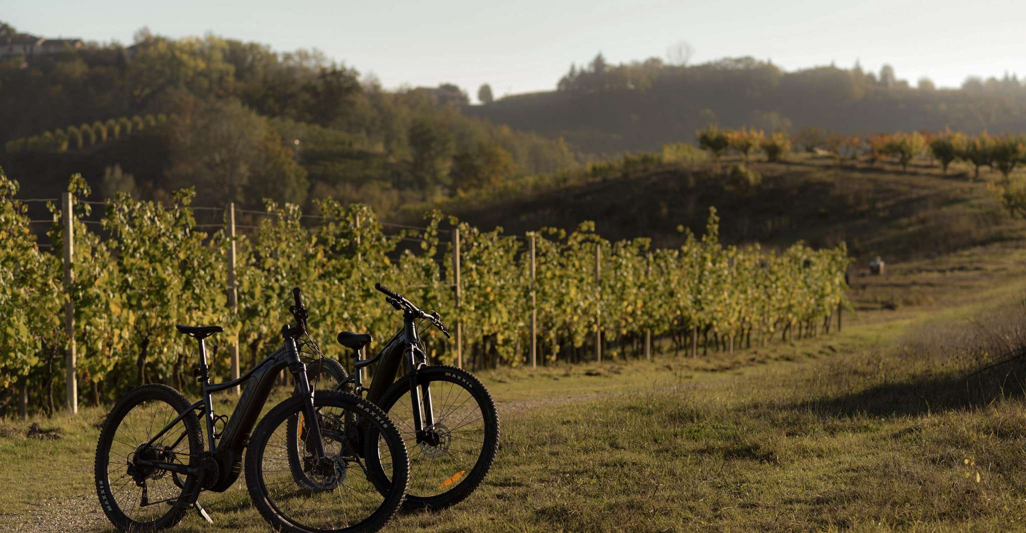 Noleggio E-Bike in Langhe & Roero