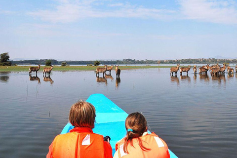 Excursion d'une journée au lac Nakuru et tour en bateau à Naivasha