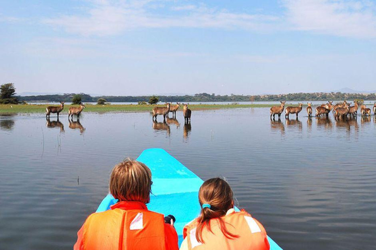 Excursion d'une journée au lac Nakuru et tour en bateau à Naivasha